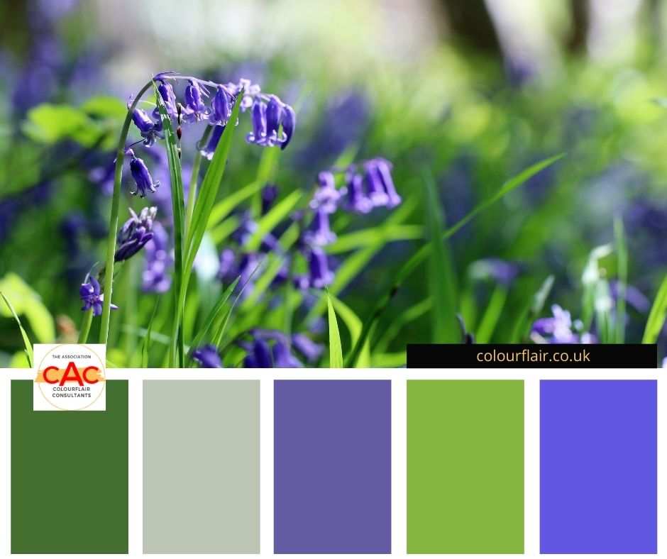 Blue bell colour palette