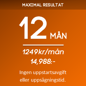 PT-Online 12 mån