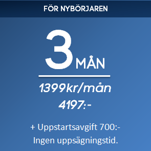 PT-Online 3 mån