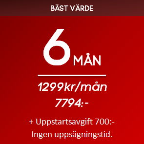 PT-Online 6 mån