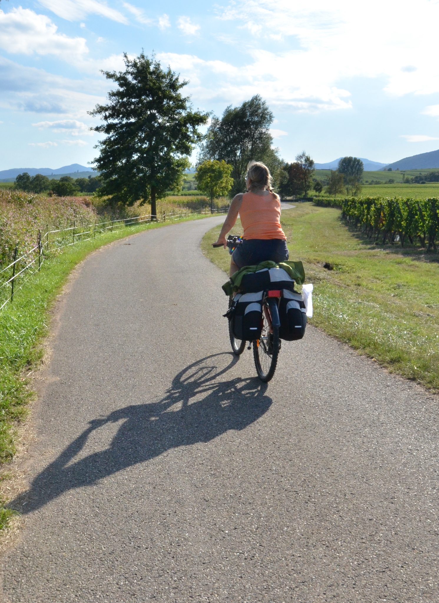Trampa vin i Alsace - Rolf & Nina Fällström