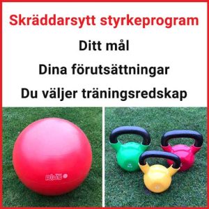 Skräddarsytt styrketräningsprogram