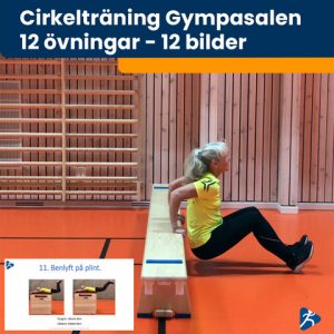 bilder till cirkelträning i gympasalen