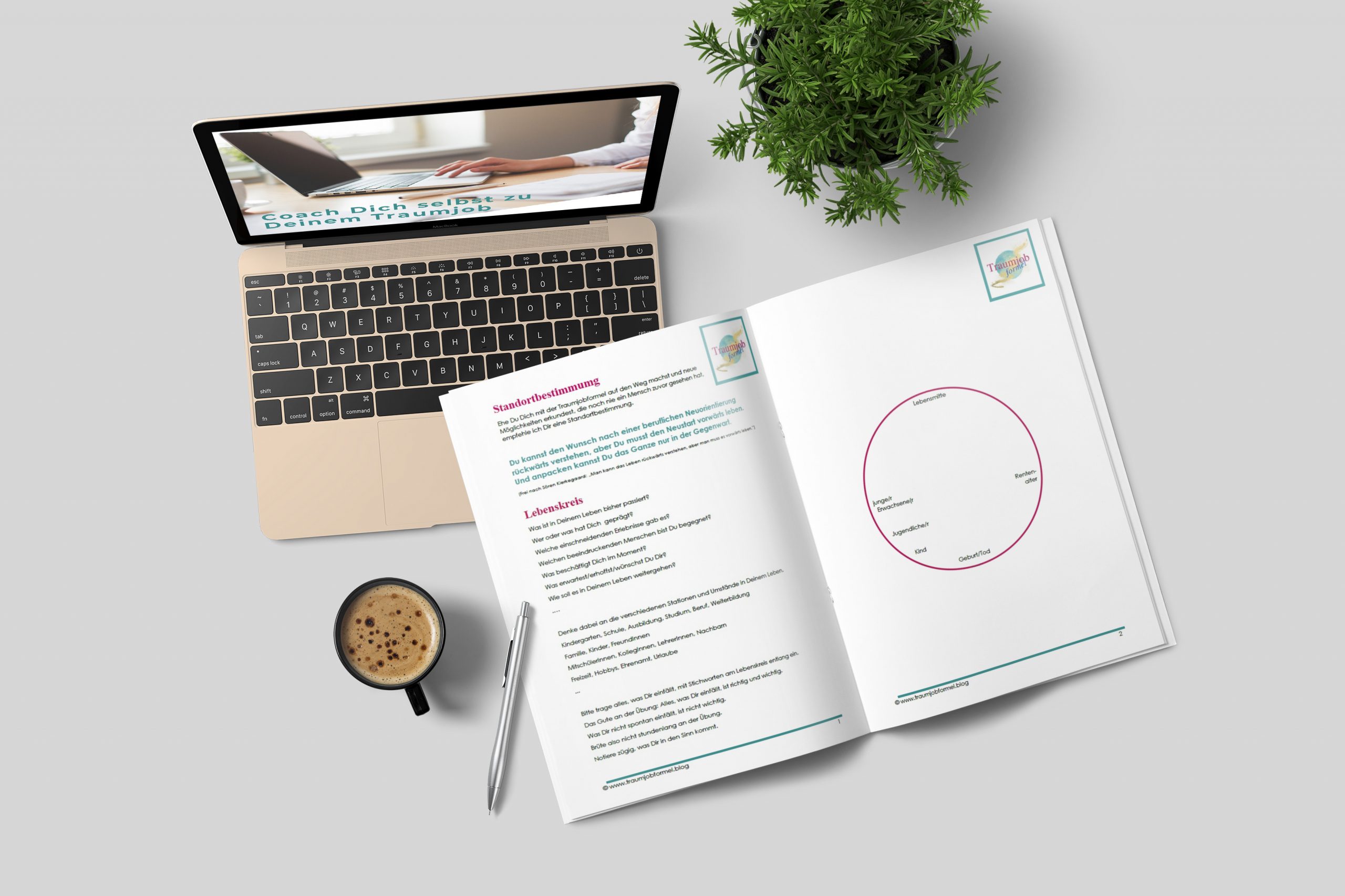 Traumjobformel-Guide Traumjobformel-Guide