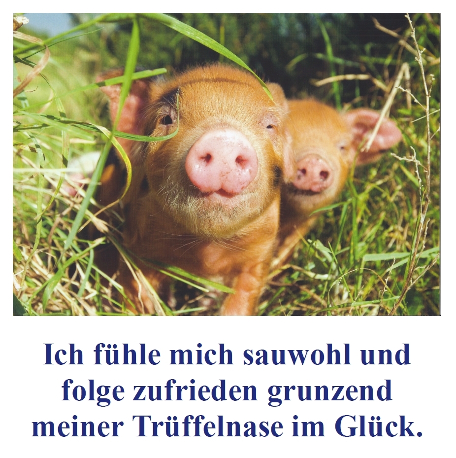 ZRM Haltungsziel ZRM Haltungsziel