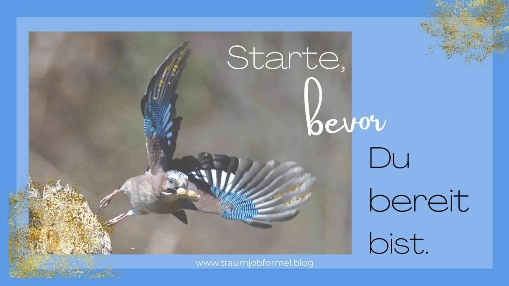 starte bevor du bereit bist starte bevor du bereit bist