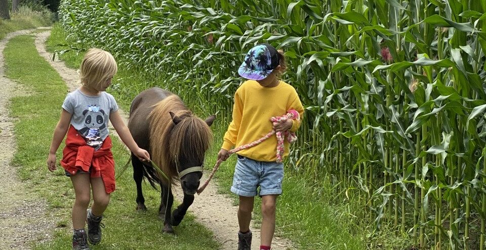 Ponywandeling