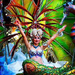 Carnival of Santa Cruz de Tenerife