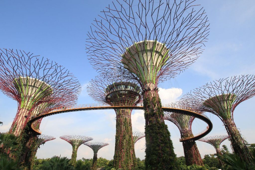 Gardens by the bay