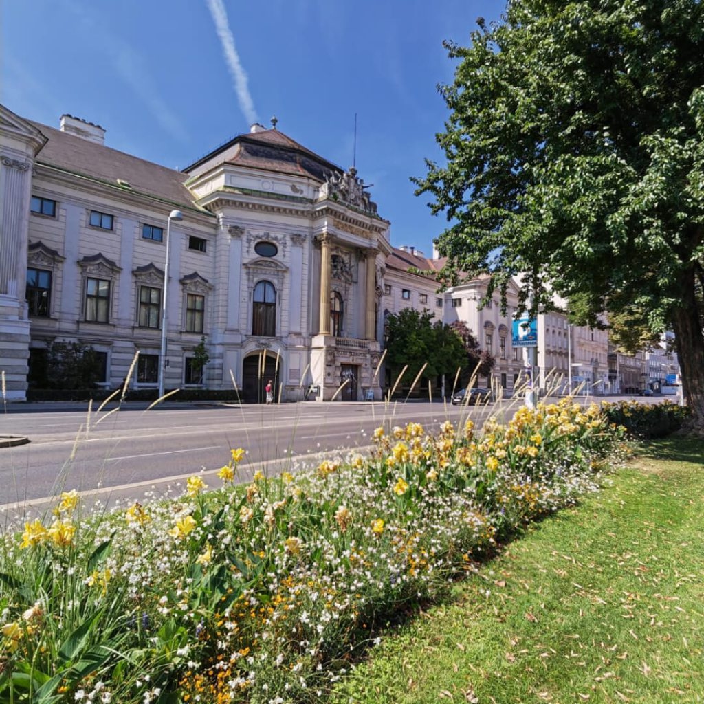 Vienna streets