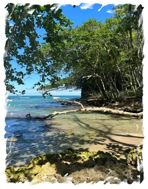 Puerto Viejo Costa Rica