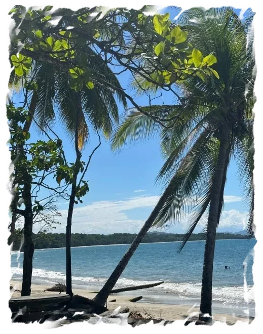 Puerto Viejo Strand Costa Rica Blauwe zee, palmbomen