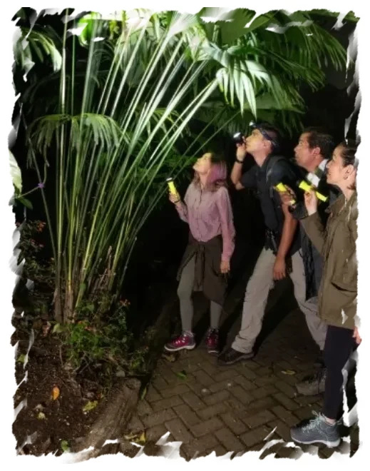 Night Tour in Tortuguero 2025