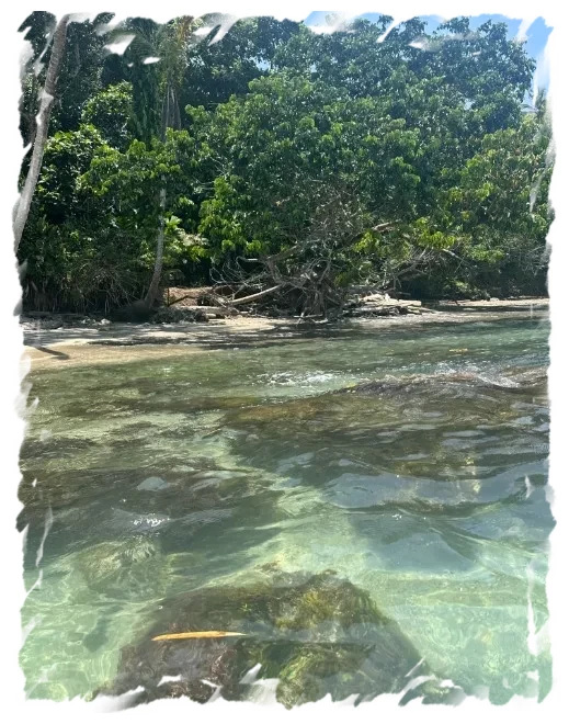 Manzanillo Natuurreservaat, prachtige plek om te snorkelen in Costa Rica