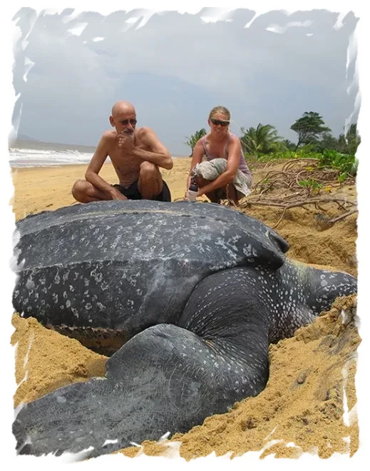 Schildpadden spotten in Tortuguero Costa Rica Familie Rondreis