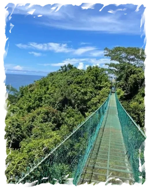 Brug over de jungle Montezuma