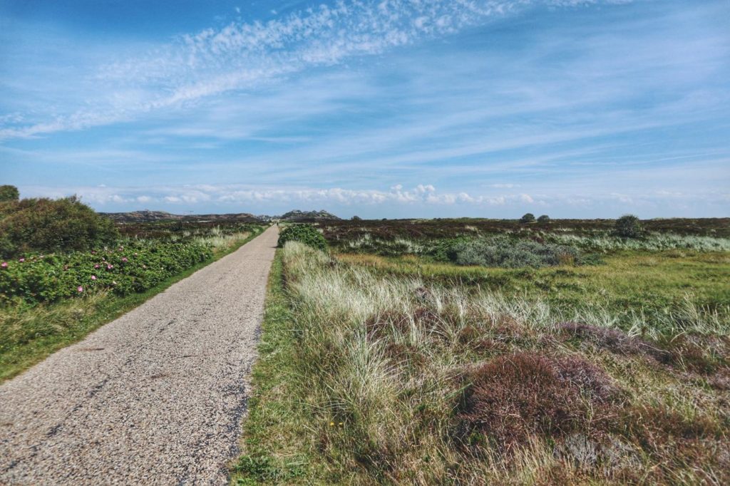 Fahrrad autobahn Sylt von Westerland nach List