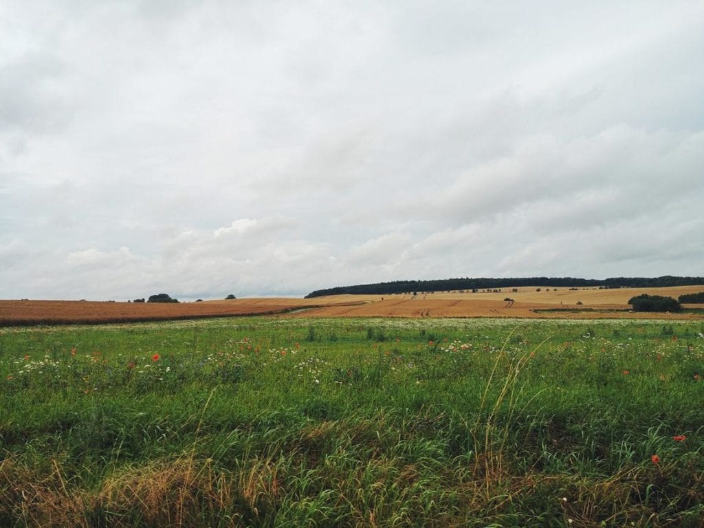 Wiese Südostrügen