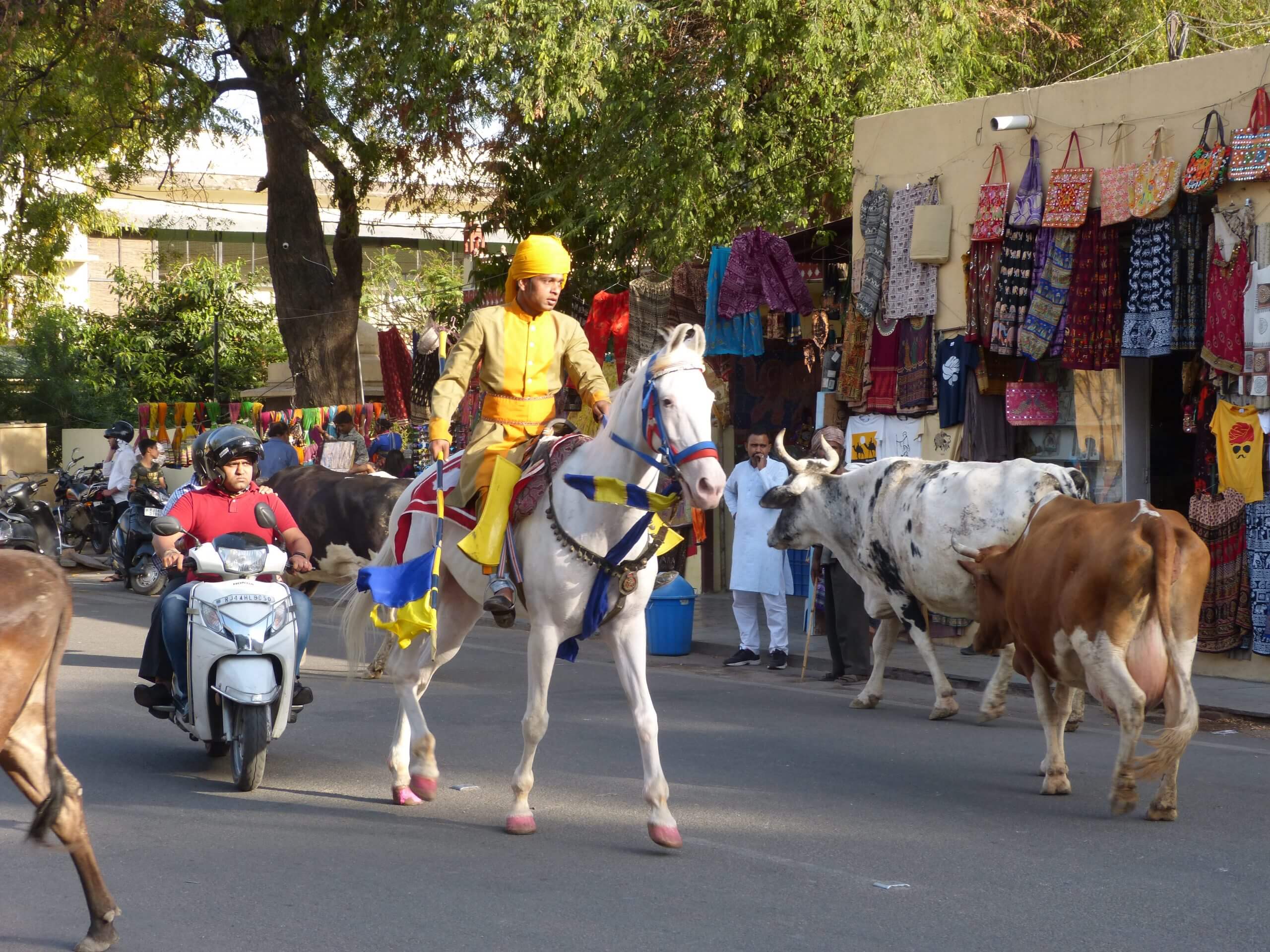Jaipur street life