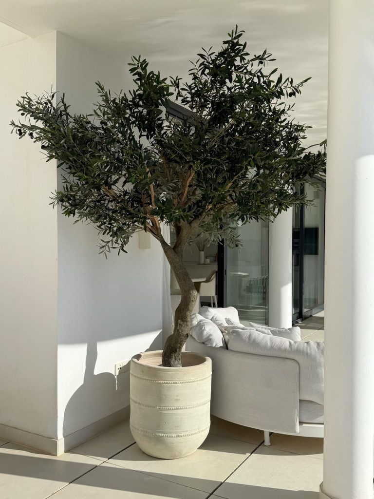 Trees from heaven