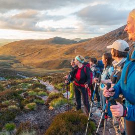 Bespoke Day Trek