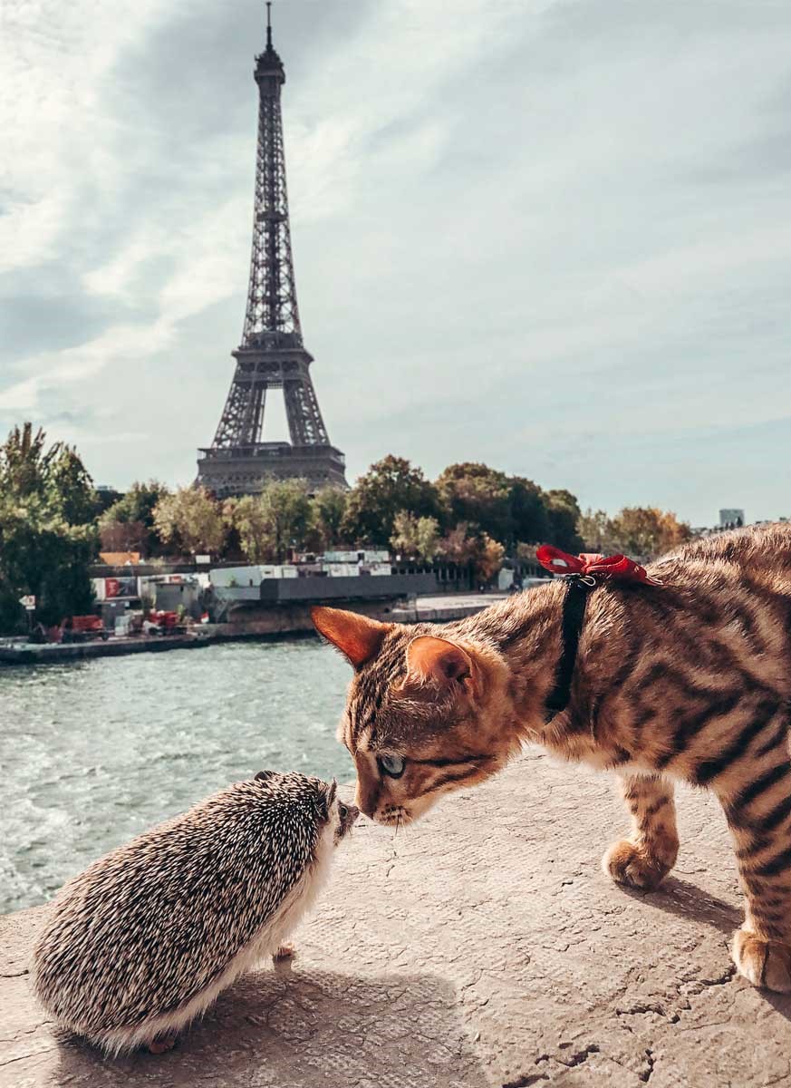 (Foto: Mr. Pokee / Instagram)