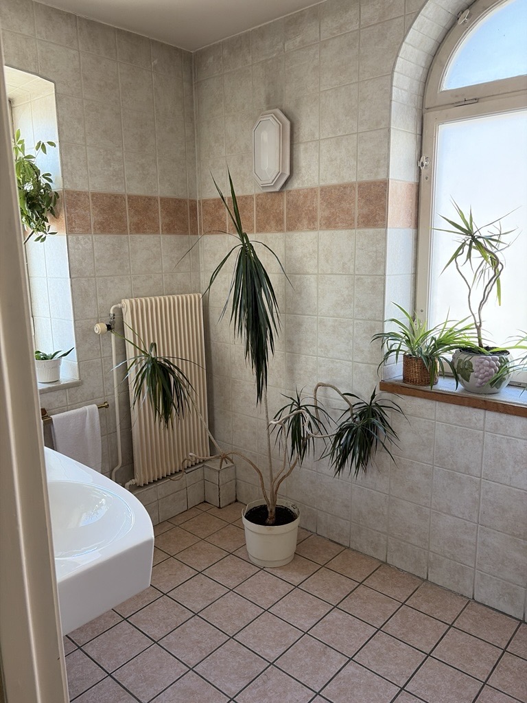 Före renovering — välvt fönster, Hotel Chaplin