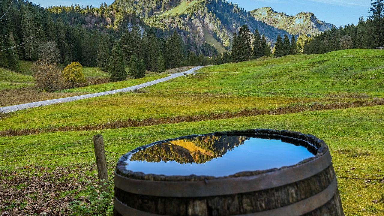 Stop mosquitos from hatching in water barrels