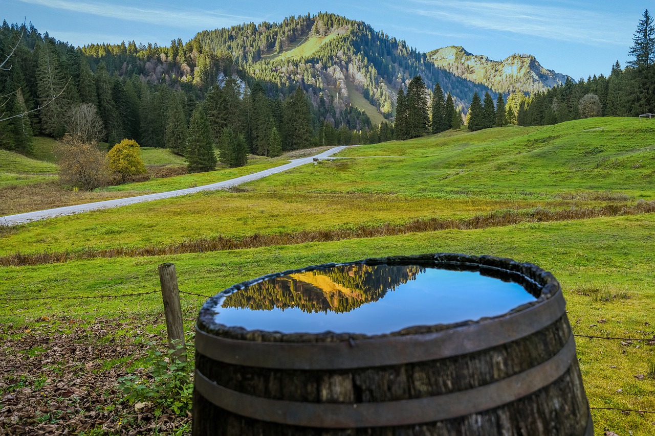 Stop mosquitos from hatching in water barrels