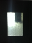 shapeimage_31
