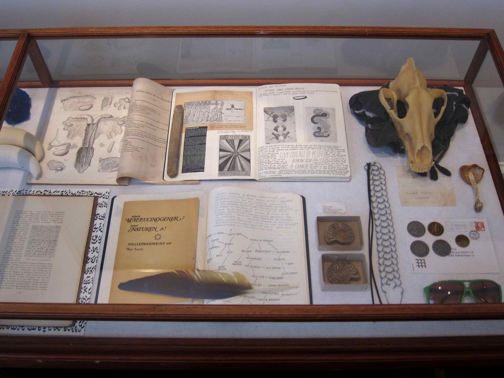 Et kig ned i en af de montre, der udgør Christian Bang Jensens 'Den hvide doktor', 2014