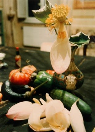 Wolfgang Tillmans: 'Still Life, Lucca', 1993
