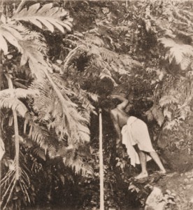 Charles Sptiz's fotografi 'Pape moe', 1863