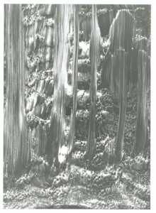 Marianne Engberg: 'Floating Water', 2009. Courtesy Banja Ranthnov Galleri & Kunsthandel