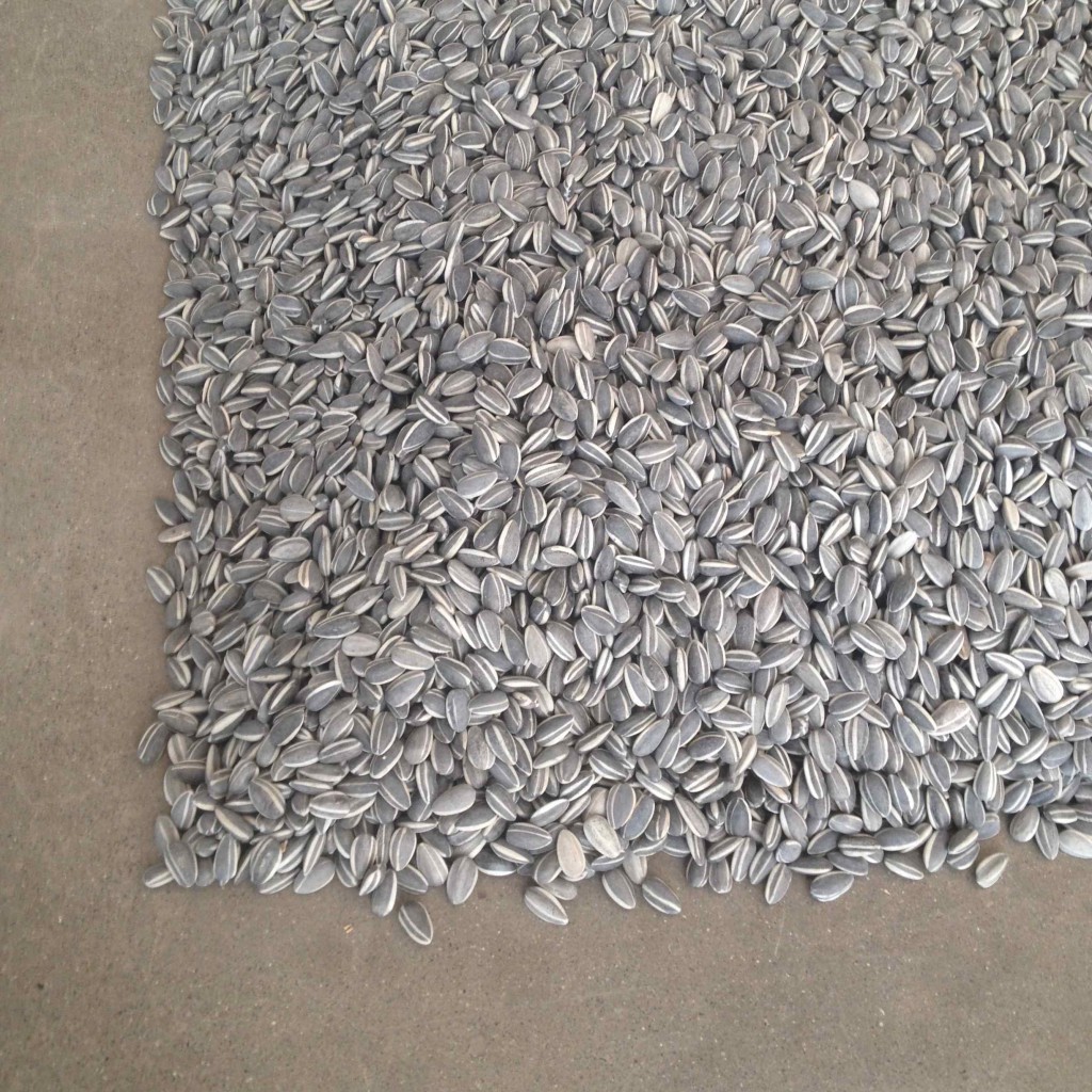 Detalje af Ai Weiwei: 'Sunflower Seeds', 2010, Faurschou Foundation. Foto: Trine Ross