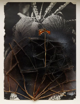 Bo Christian Larsson: 'Butterfly Effect', 2015