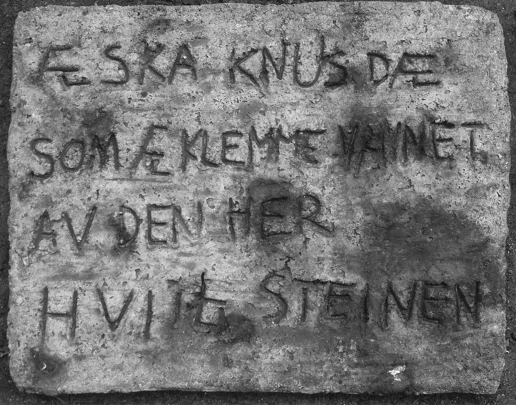 Lydia Hauge Sølvberg: 'Æ ska knus dæ som æ klemme vannet av den her hvite steinen', 2014, vurdering: 3.500 kroner