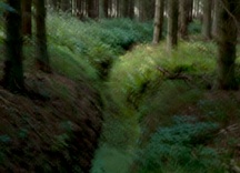 Per Bak Jensen: 'Drømmen', 2012