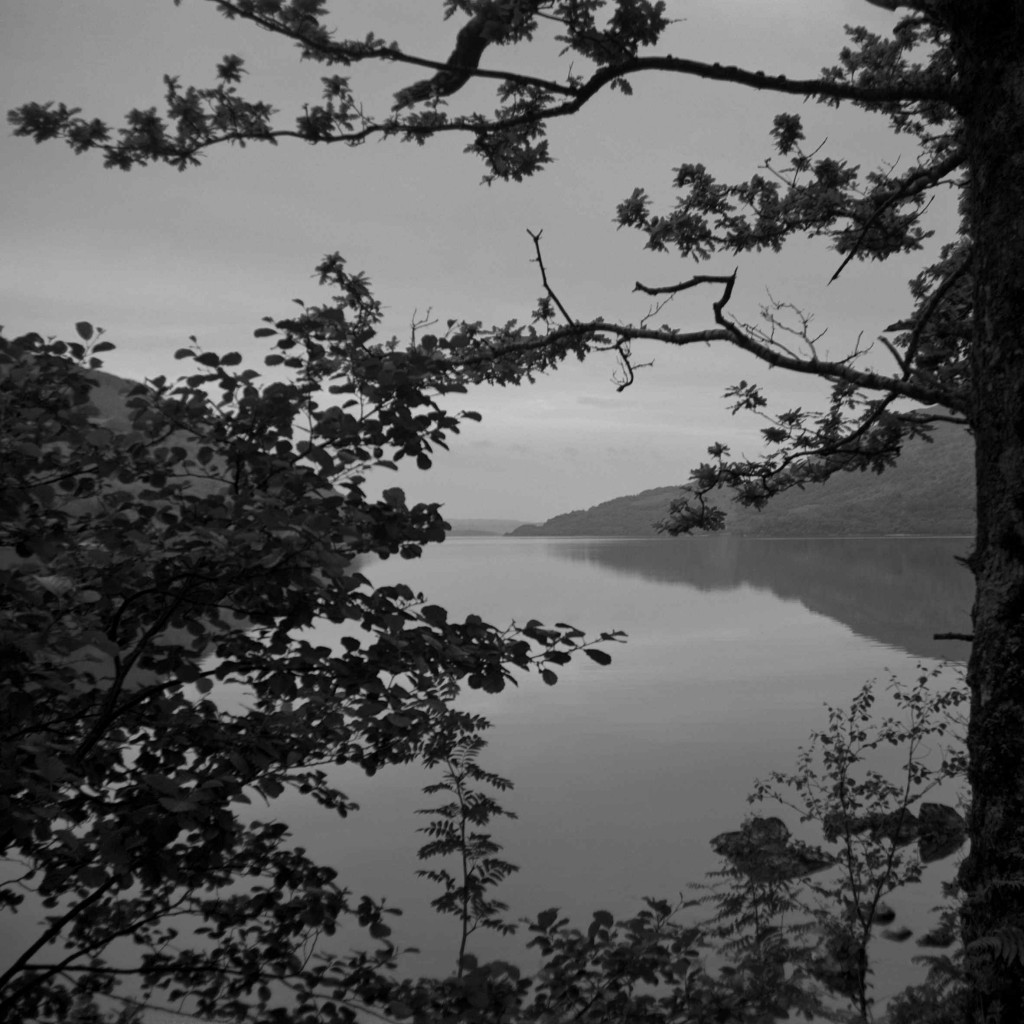 Astrid Kruse Jensen: 'The Lake', 2015