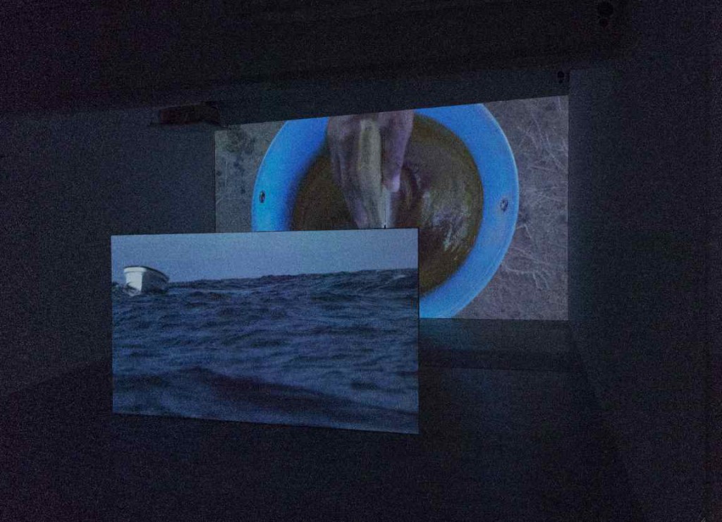Installationshot af Superflexs ’European Union Mayotte’ hos Nils Stærk, 2015