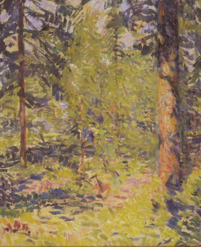 Sigurd Swane: 'Sol i granskov. Småland', 1909. Statens Museum for Kunst