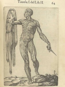 Juan Valverde de Amusco, 1560