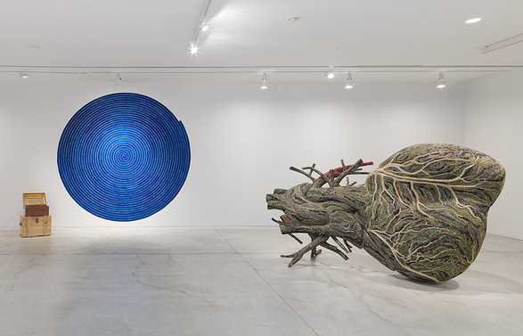 Installationshot af Bharti Khers udstilling 'Matter' i Vancouver Art Gallery. Foto: Maegan Hill-Carroll, Vancouver Art Gallery