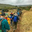 Some of our scouts went on a morning hike at Sycamore Canyon and Goodan Ranch. they had to good fortune to be joined by Webelos. Thanks for joining us!!!