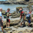 Our scouts went to the tide pools on Scripps beach. Afterwards they went to the Scripps Aquarium which is nearby.