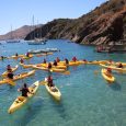 We sent 28 Scouts and 7 adults to summer camp 2021, at Camp Cherry Valley on Catalina Island