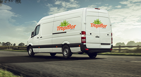 tropical flower delivery van