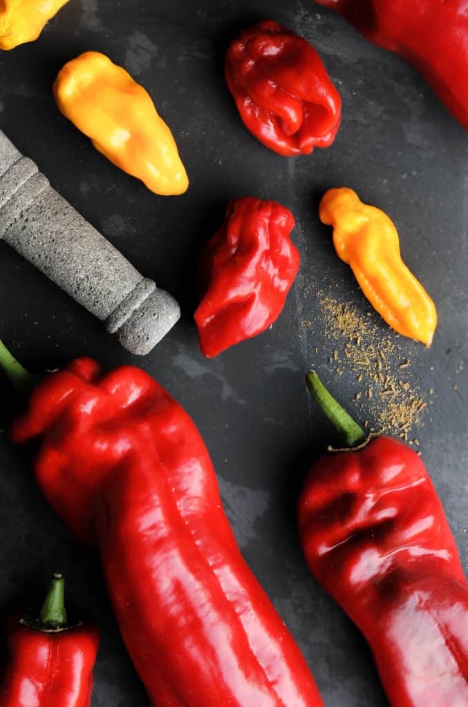 Homemade_Harissa_Raw_Truefoodsblog