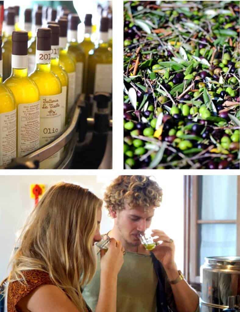 Fattoria La Vialla Photos by Truefoodsblog © mix