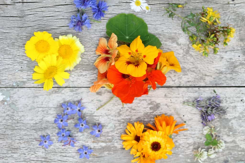 Edible Flowers by Truefoodsblog